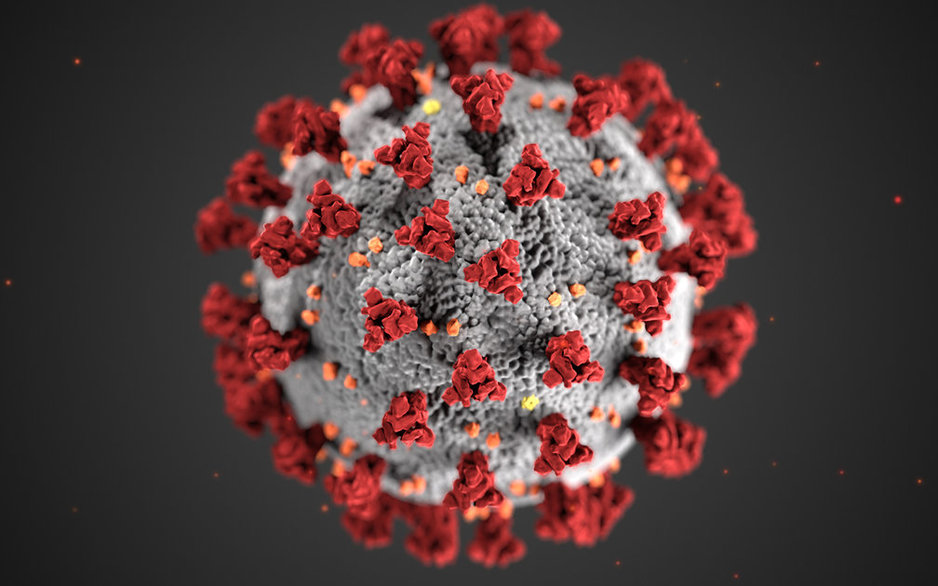 Image result for coronavirus telework